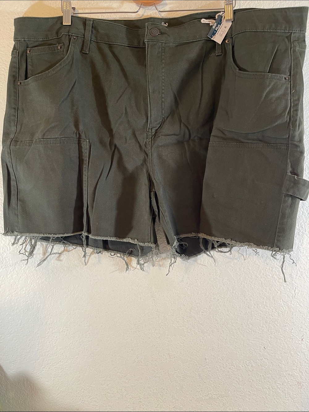 TERRA & SKY High Rise Cargo Raw Edge Forest Green Shorts Size 26W With Pockets